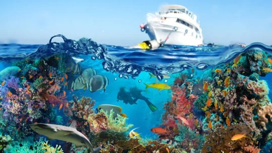 Boat above clear water with reef fish and coral beneath the surface