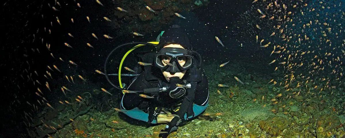 A diver and small fish illuminated underwater, a glimpse of the atmosphere of night diving in Hurghada