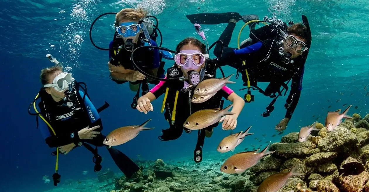 A group of scuba divers beside coral and fish