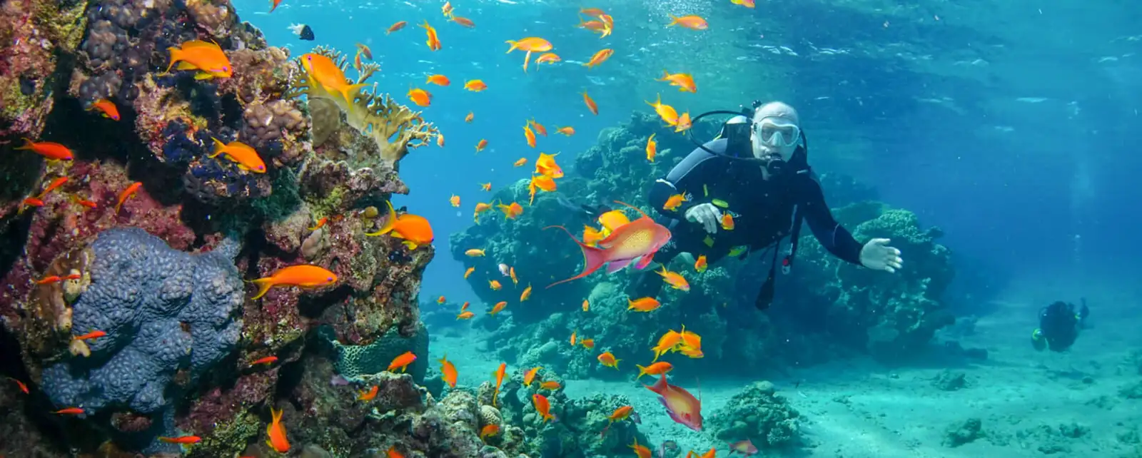 Scuba diver swimming beside a coral reef and orange fish
