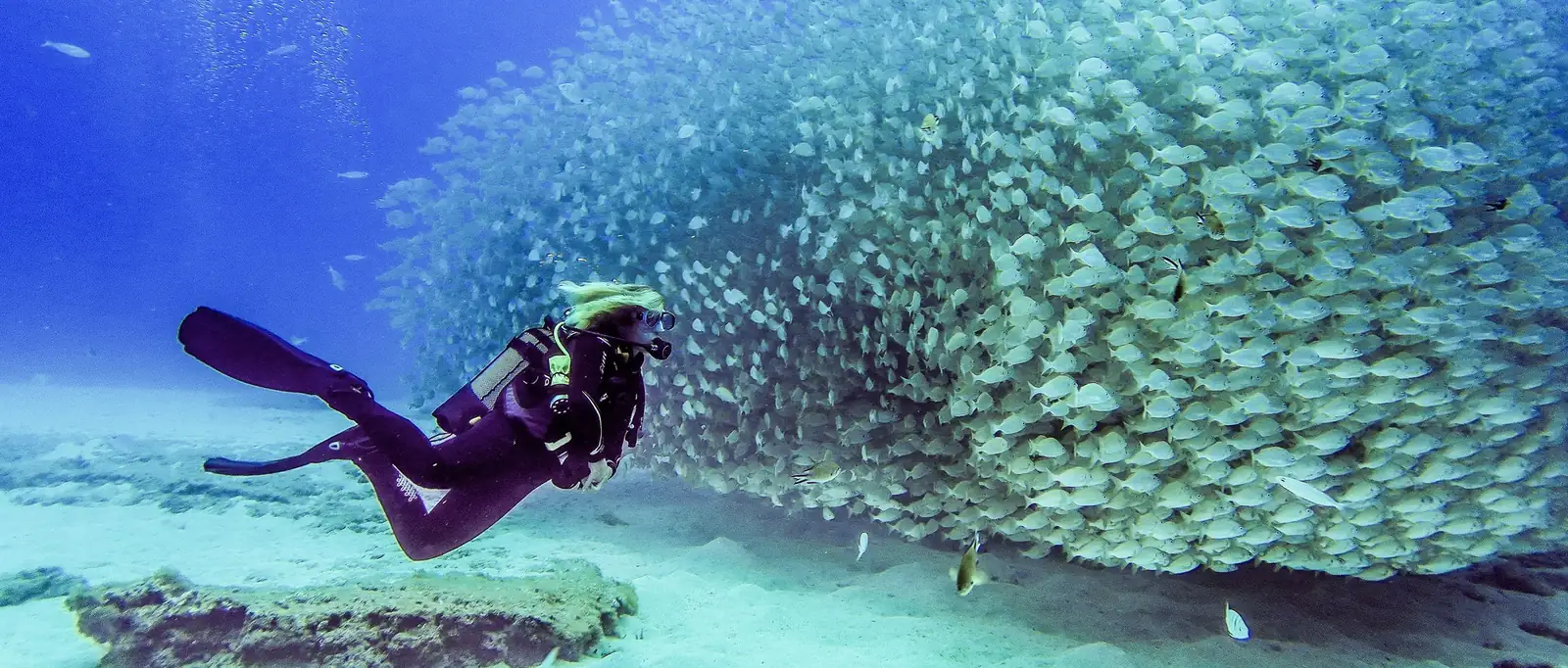 PADI Wreck Diving Course