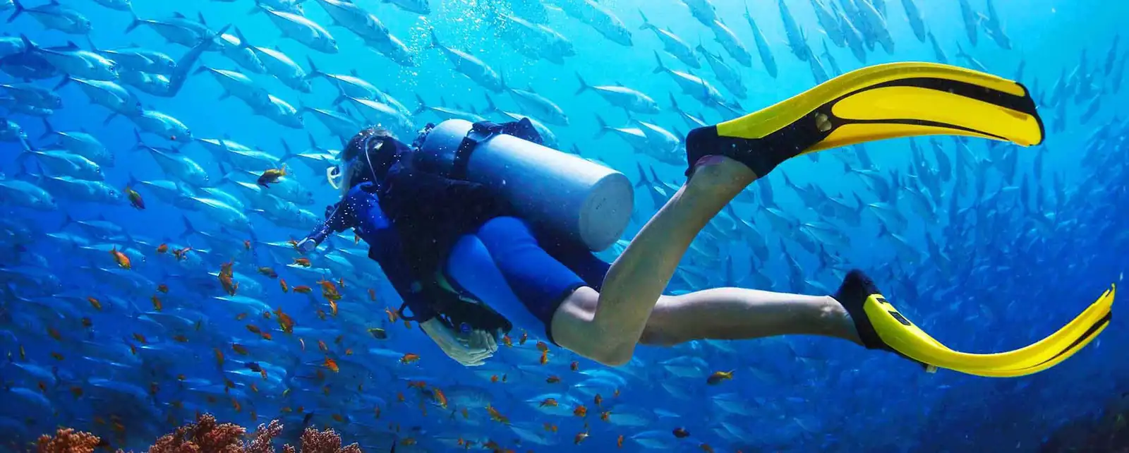 Scuba diver with yellow fins swimming among fish in the Red Sea