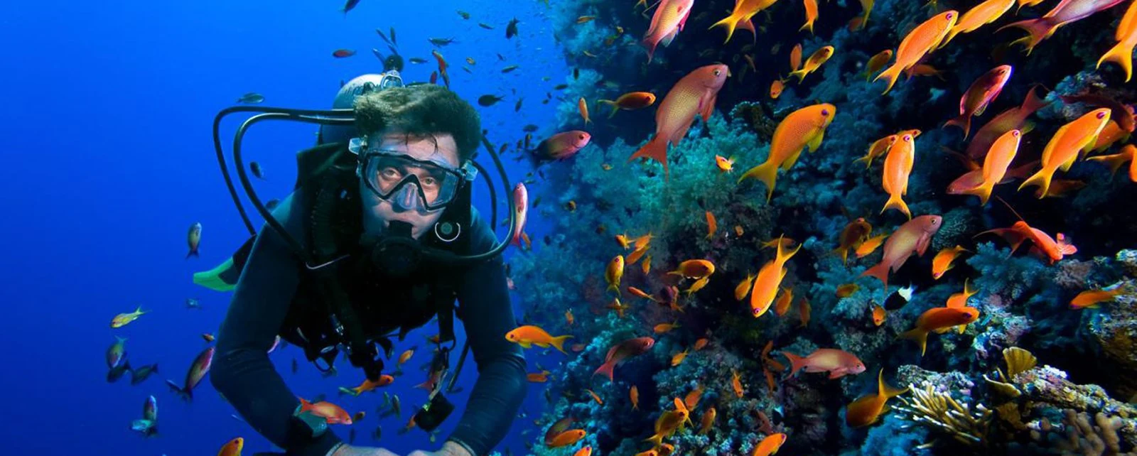 Scuba diver beside coral and reef fish – PADI Open Water course in Hurghada