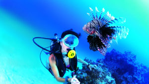 Daily Diving in Hurghada