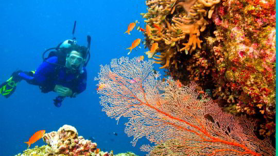 PADI Discover Scuba Diving in Hurghada