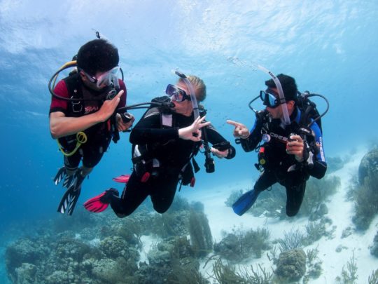 Learn to Dive in Hurghada