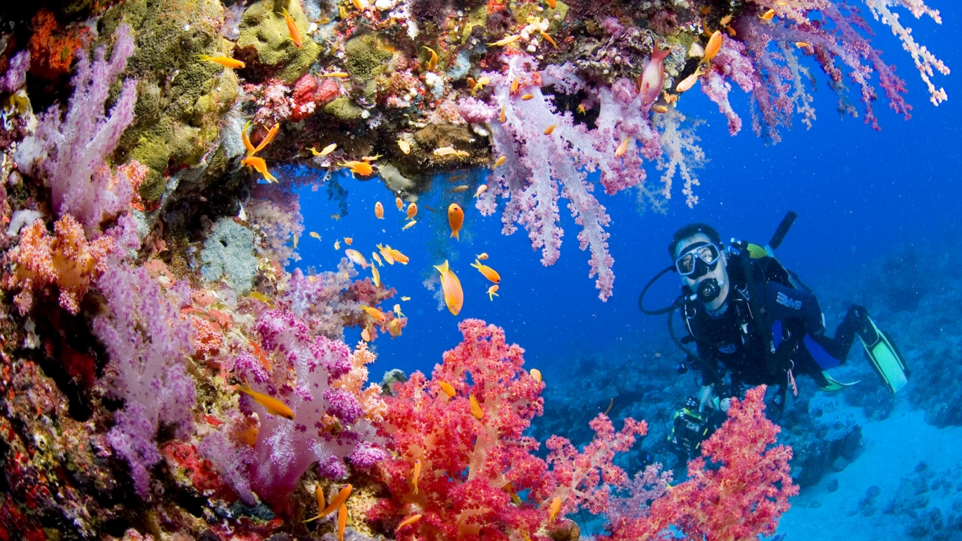 PADI Speciality Courses in Hurghada