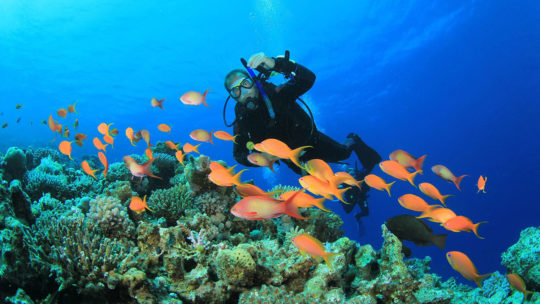 PADI Speciality Courses in Hurghada