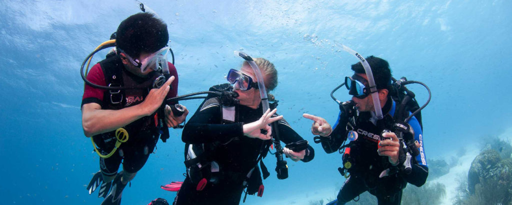 PADI Courses in Hurghada