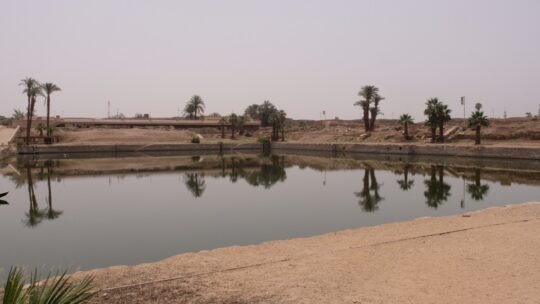 Palm trees reflected in the sacred lake at Karnak