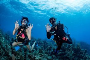 Marsa Alam diving trip