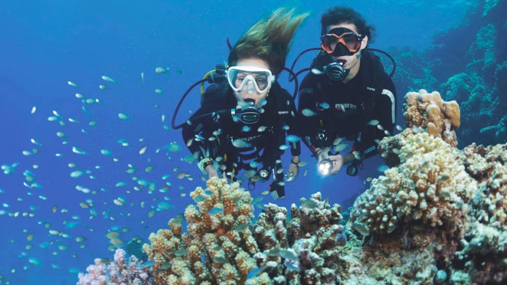 PADI NITROX DIVING COURSE in Hurghada