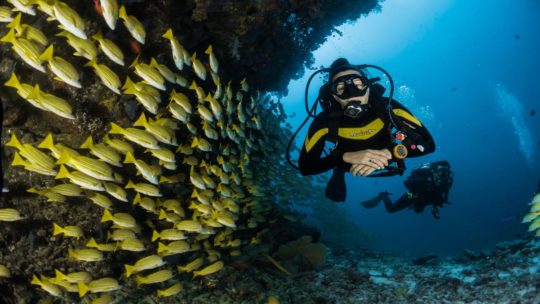 PADI Self Reliant Diving Course in Hughada