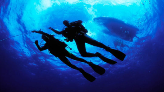 PADI Night Diver Diving Course in Hurghada