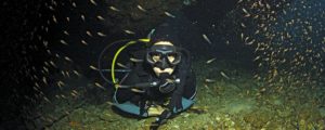 PADI Night Diver Diving Course