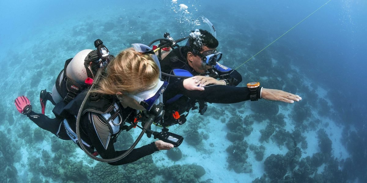 Why Is Dive UK Hurghada A Little More Expensive DiveUKHurghada