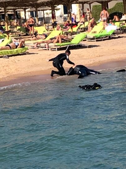 Customers practising a shore rescue exercise on the PADI Rescue course in Hurghada