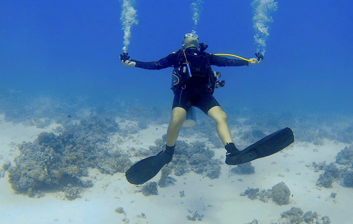 A scuba diver underwater above the Red Sea seabed