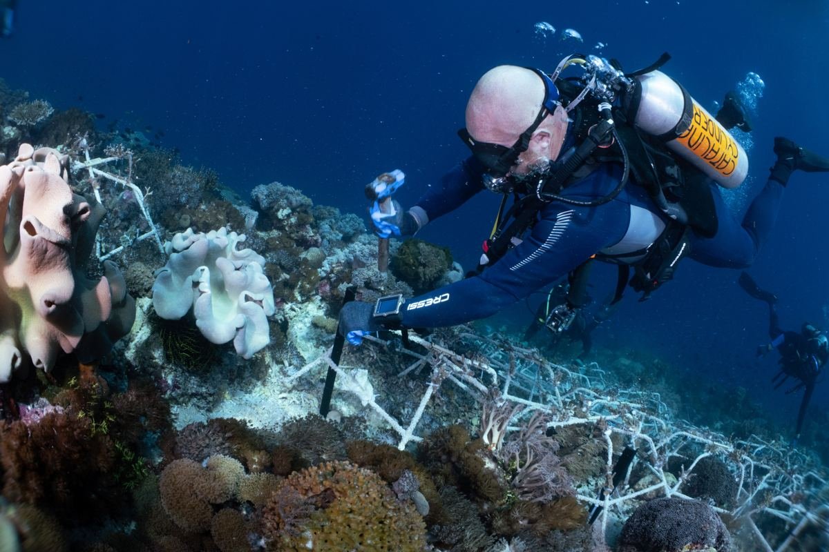 Diver working with reef-star structures at our Indonesia conservation project