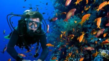 PADI Courses in Hurghada