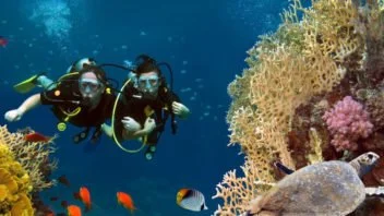 PADI Recue Diver Course & Emergency First Response (EFR)